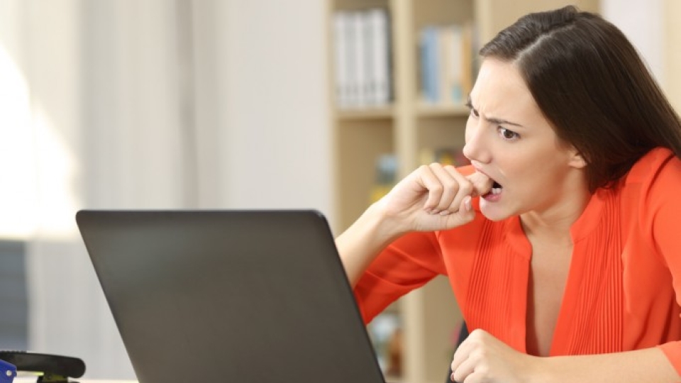 Developers offered free business contact info by NUM