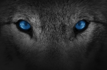 Arctic Wolf improves MSP support with Frankfurt SOC 